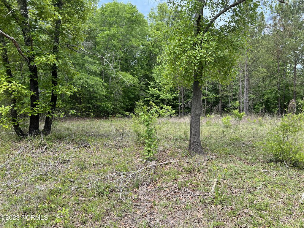 Photo of 0 E Marney Drive, Burgaw, NC 28425 (MLS # 100381603)