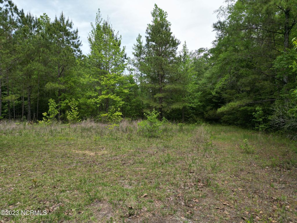 Photo of 0 E Marney Drive, Burgaw, NC 28425 (MLS # 100381603)