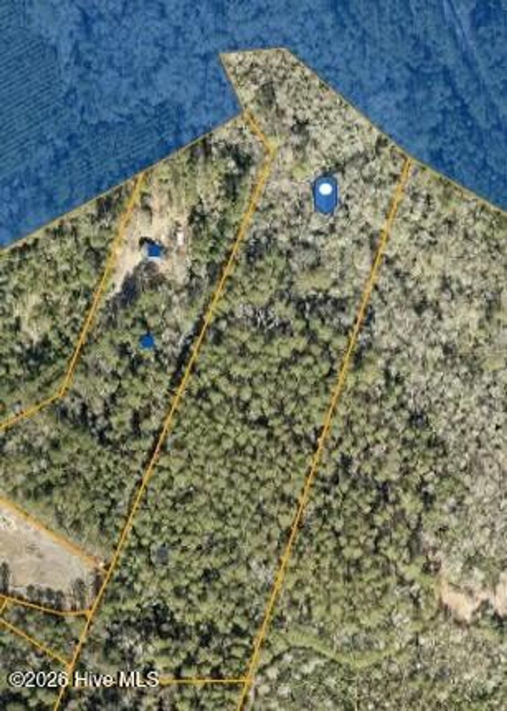 Photo of 1710 Colon Mintz Road NE, Leland, NC 28451 (MLS # 100558996)