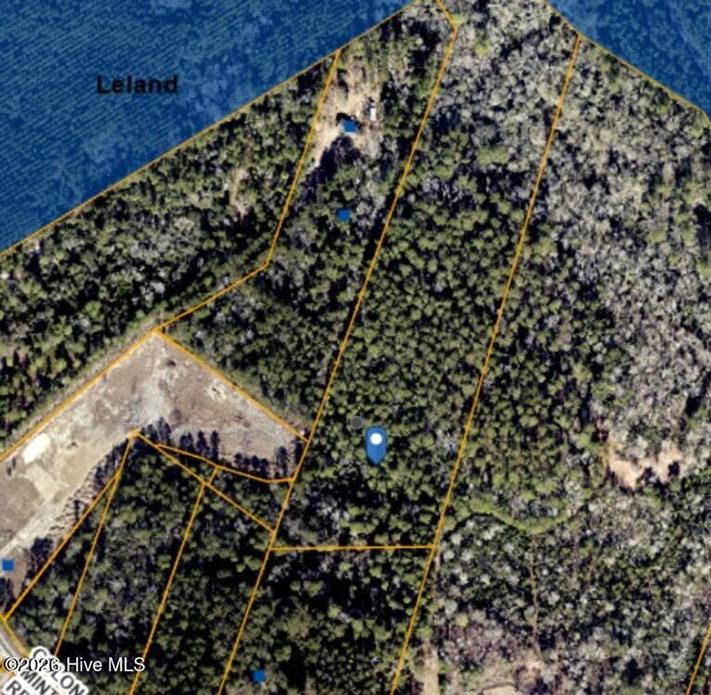 Photo of 1710 Colon Mintz Road NE, Leland, NC 28451 (MLS # 100558996)