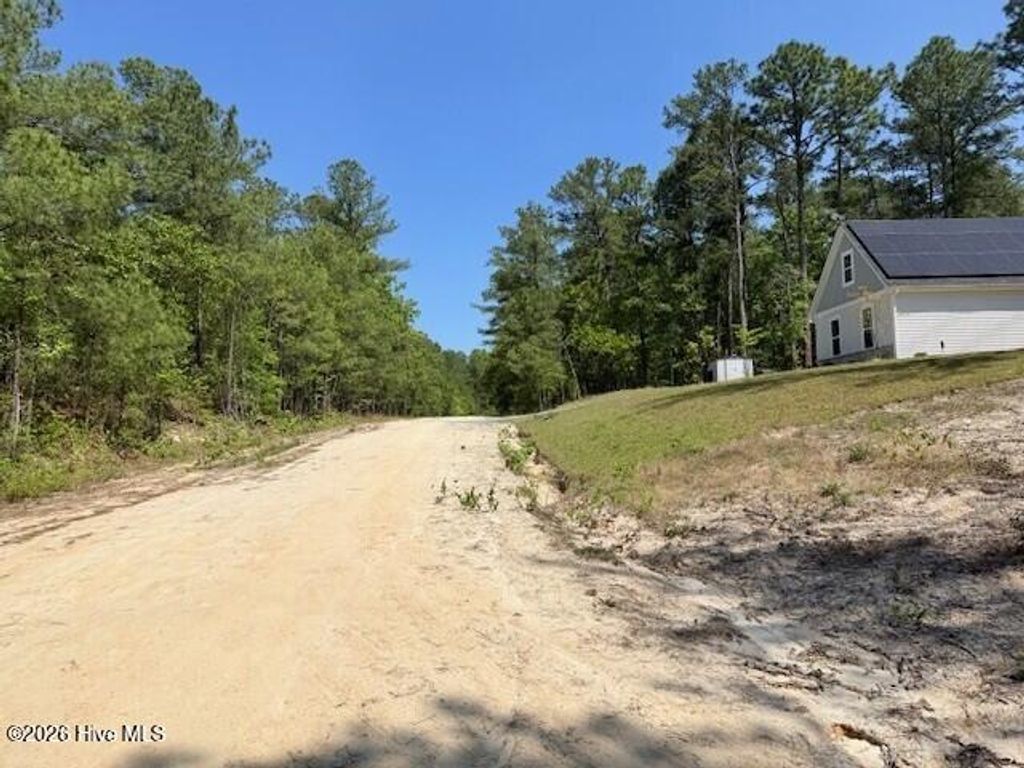 Photo of 1028 Sorrell Drive, Vass, NC 28394 (MLS # 100569605)