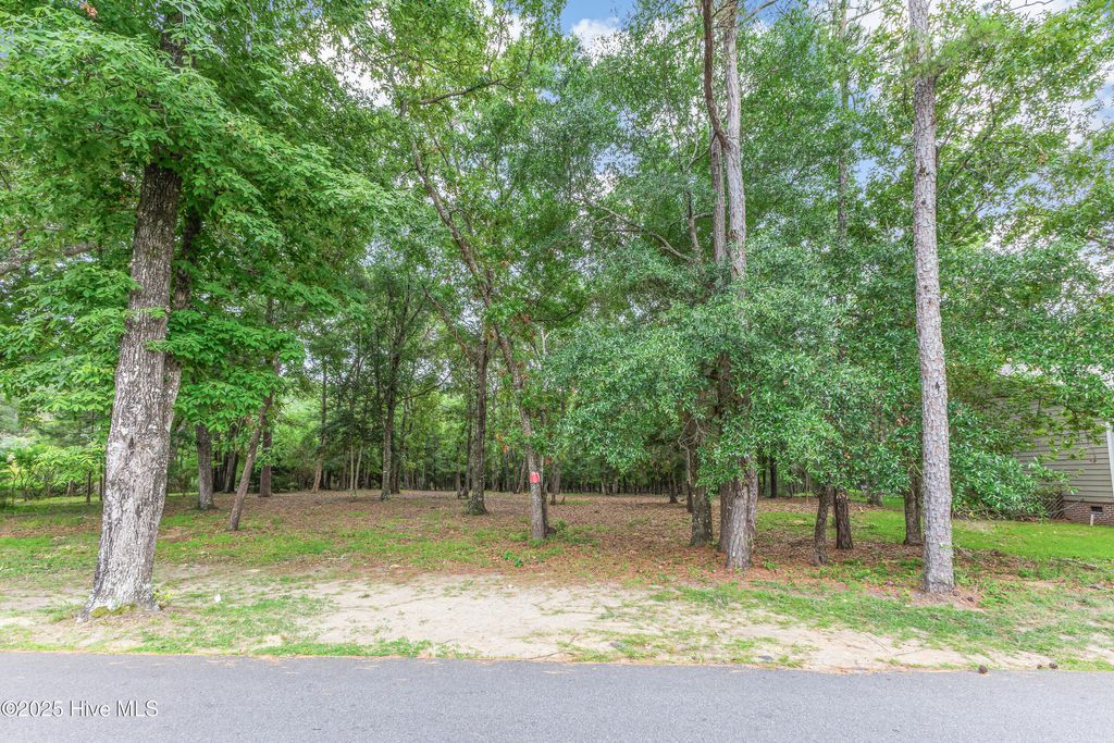 Photo of 3197 Marsh View Drive SW, Supply, NC 28462 (MLS # 100548101)