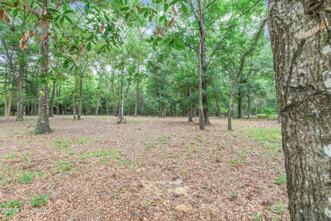Tiny photo for 3197 Marsh View Drive SW, Supply, NC 28462 (MLS # 100548101)