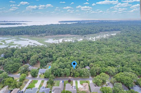 Tiny photo for 3197 Marsh View Drive SW, Supply, NC 28462 (MLS # 100548101)