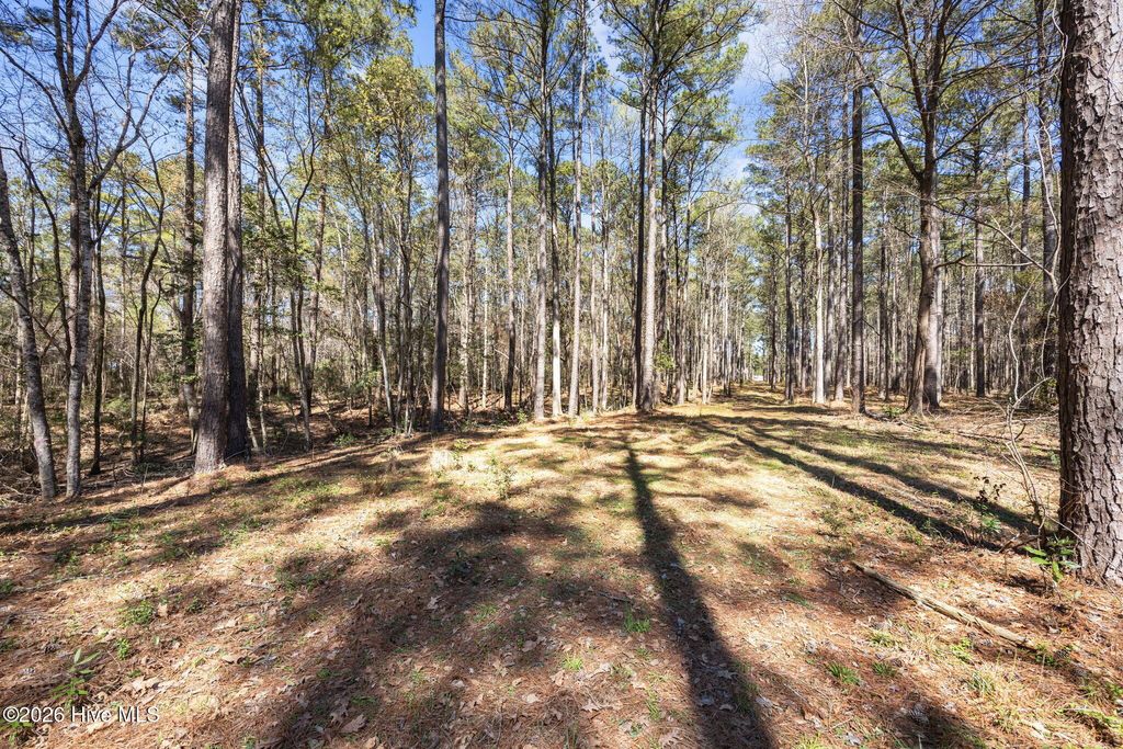 Photo of 5109 Kershaw Road, Oriental, NC 28571 (MLS # 100561820)