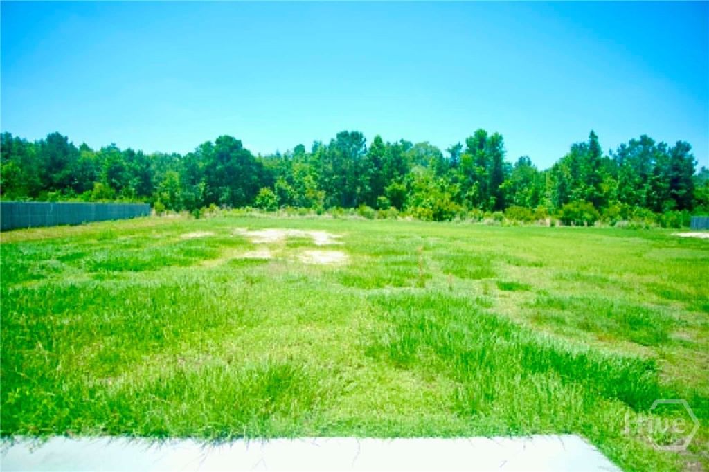 Photo of 152 Summerhill Drive NE, Ludowici, GA 31316 (MLS # SA357417)