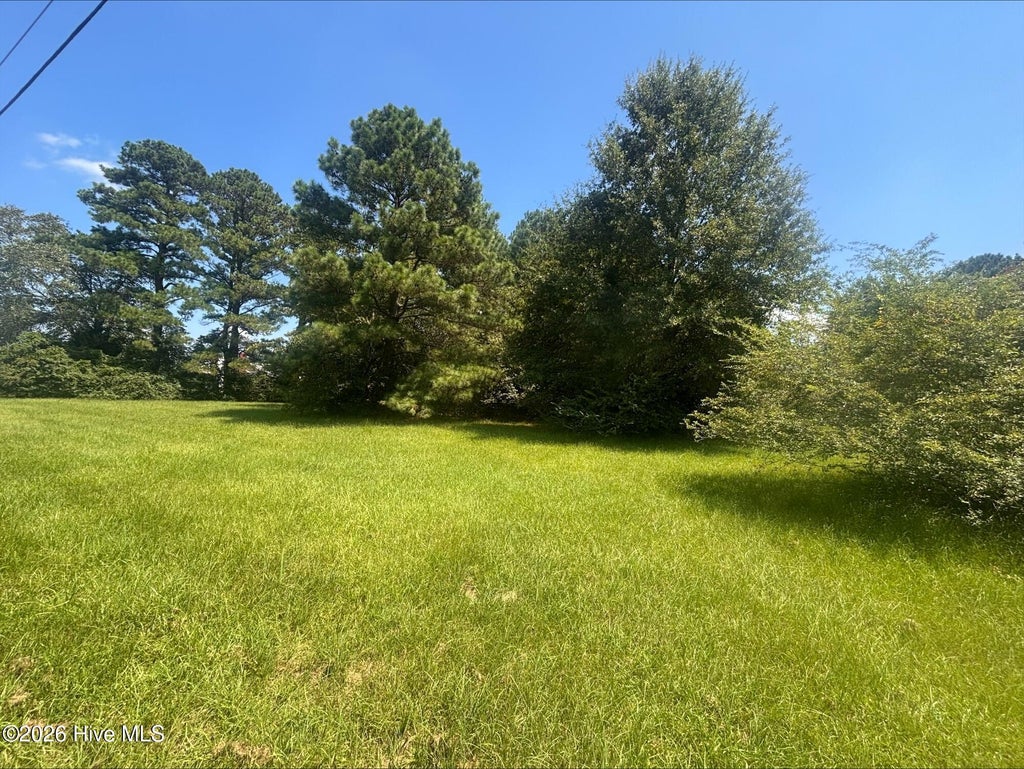 Photo of 5369 Weyerhaeuser Road, Ayden, NC 28513 (MLS # 100597879)