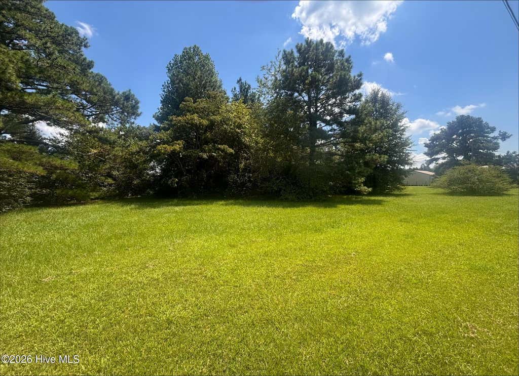 Photo of 5369 Weyerhaeuser Road, Ayden, NC 28513 (MLS # 100597879)