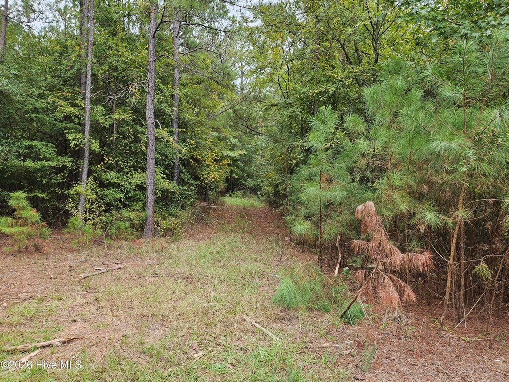Photo of 0 Washington Highway, Lincolnton, GA 30817 (MLS # 100607936)