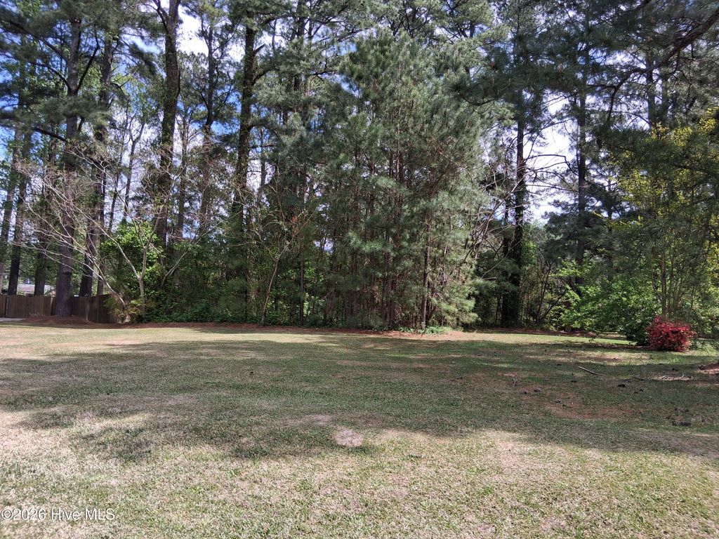 Photo of 705 Fitzgerald Drive, Kinston, NC 28501 (MLS # 100566127)