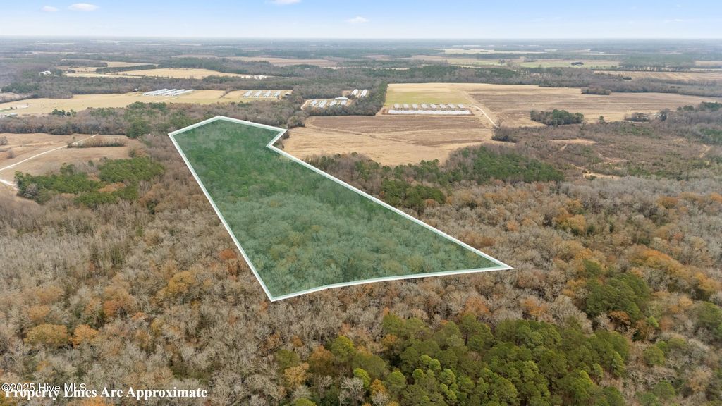 Photo of 0 Gaddy'S Mill Rd, Maxton, NC 28364 (MLS # 100547074)