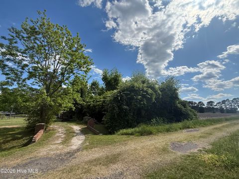 Tiny photo for 3 W Hayes Street, Burgaw, NC 28425 (MLS # 100572896)