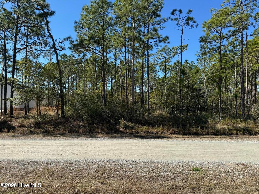 Photo of 100 Bridges Road, Southport, NC 28461 (MLS # 100607741)