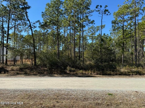 Photo of 100 Bridges Road, Southport, NC 28461 (MLS # 100607741)