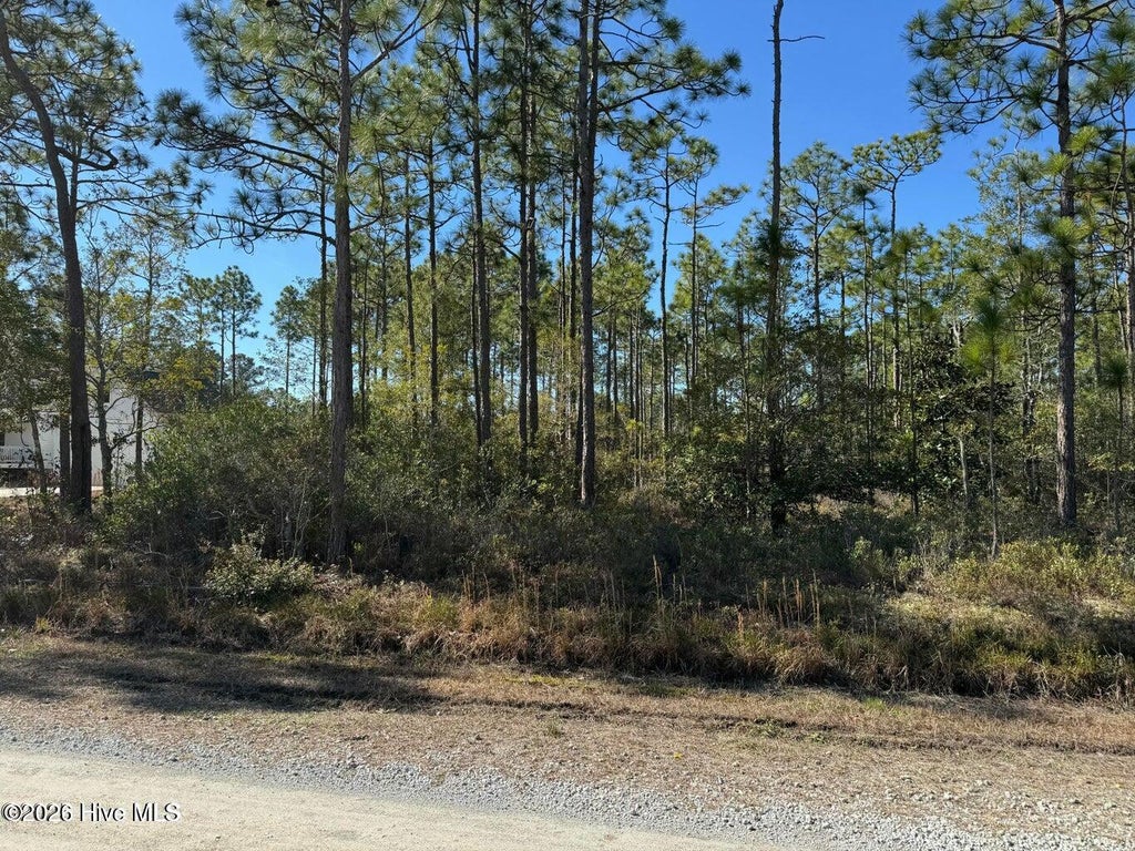 Photo of 100 Bridges Road, Southport, NC 28461 (MLS # 100607741)