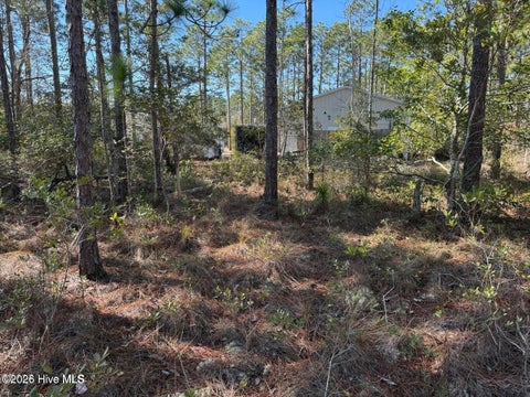 Tiny photo for 100 Bridges Road, Southport, NC 28461 (MLS # 100607741)