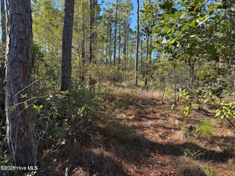 Tiny photo for 100 Bridges Road, Southport, NC 28461 (MLS # 100607741)