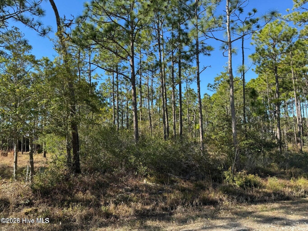 Photo of 100 Bridges Road, Southport, NC 28461 (MLS # 100607741)
