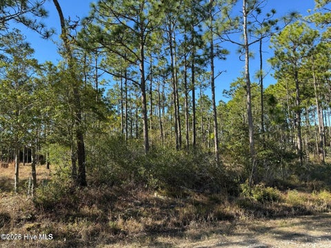 Tiny photo for 100 Bridges Road, Southport, NC 28461 (MLS # 100607741)