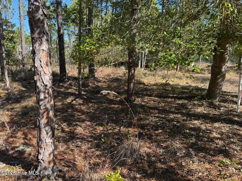 Tiny photo for 100 Bridges Road, Southport, NC 28461 (MLS # 100607741)