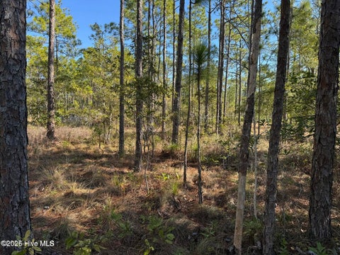 Tiny photo for 100 Bridges Road, Southport, NC 28461 (MLS # 100607741)