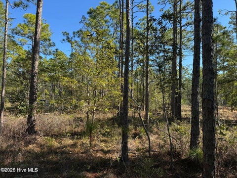 Tiny photo for 100 Bridges Road, Southport, NC 28461 (MLS # 100607741)