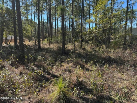 Tiny photo for 100 Bridges Road, Southport, NC 28461 (MLS # 100607741)