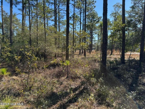 Tiny photo for 100 Bridges Road, Southport, NC 28461 (MLS # 100607741)