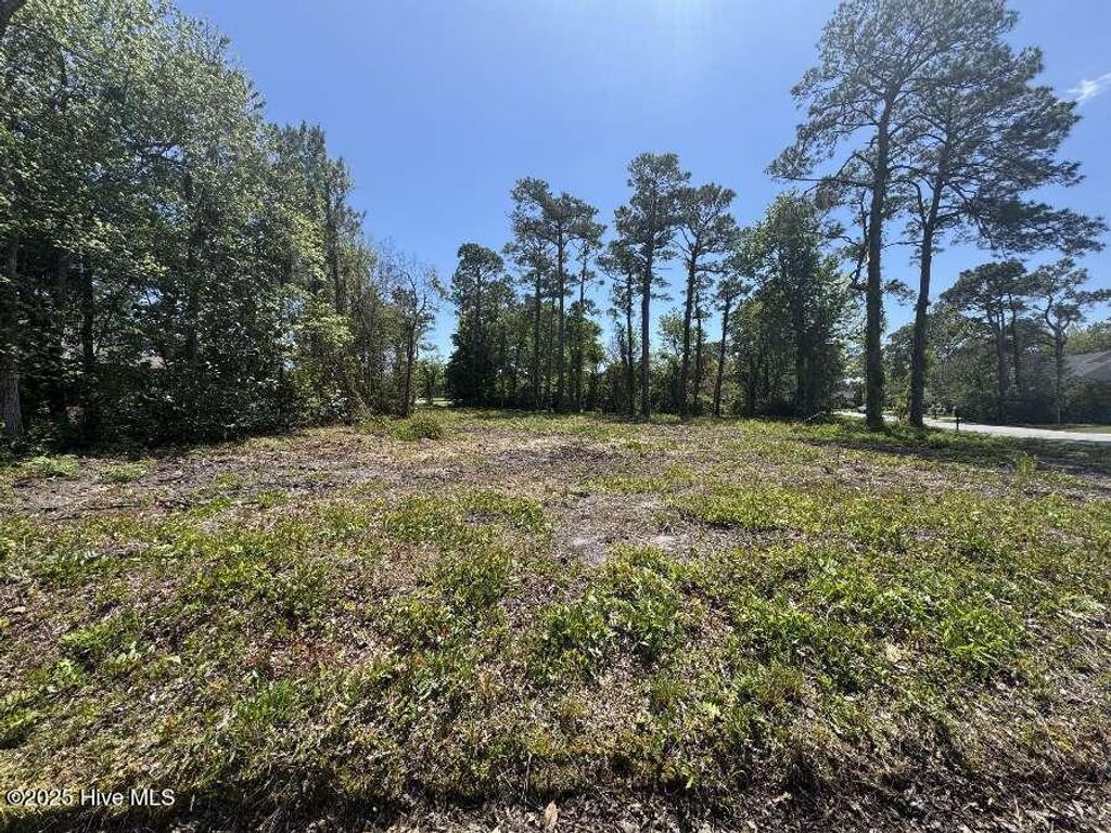 Photo of 212 Lord Granville Drive, Morehead City, NC 28557 (MLS # 100507197)