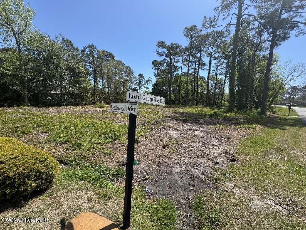 Photo of 212 Lord Granville Drive, Morehead City, NC 28557 (MLS # 100507197)