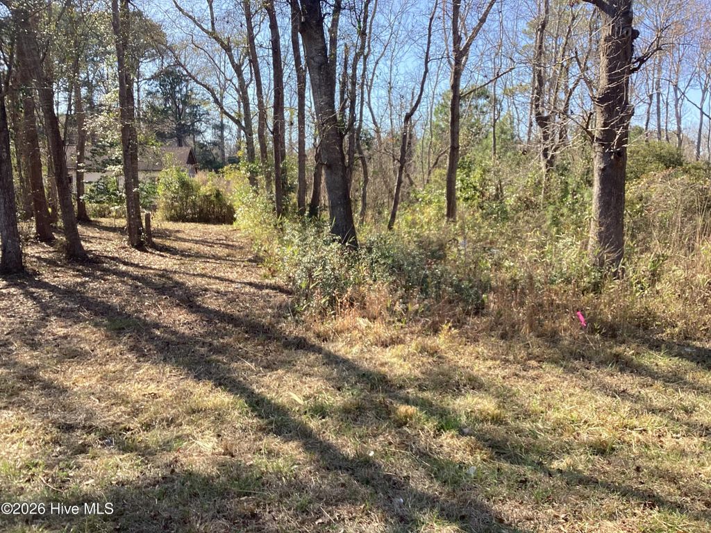 Photo of 2393 Shoreline Drive SW, Supply, NC 28462 (MLS # 100559106)