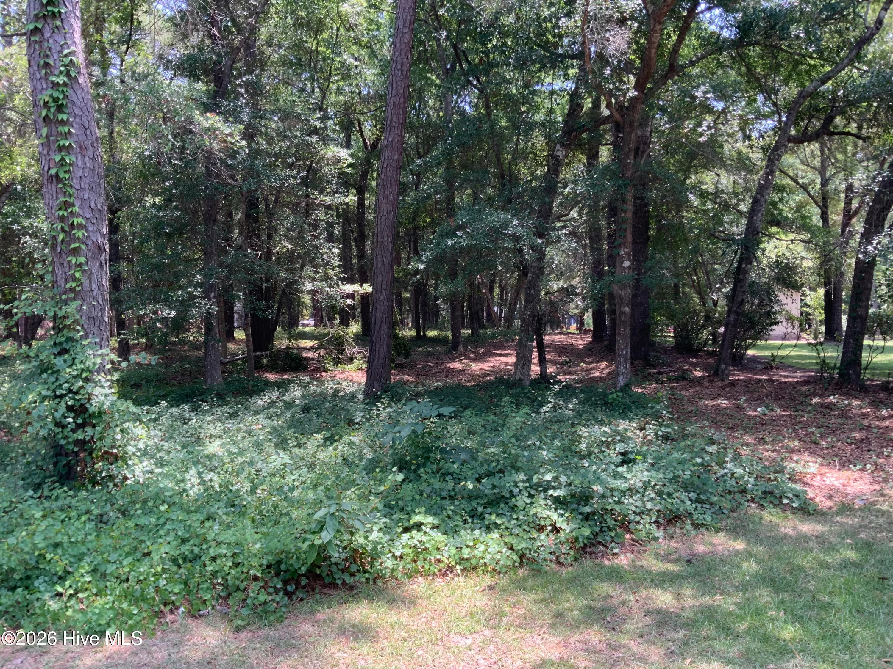 709 Lakeside Drive SE