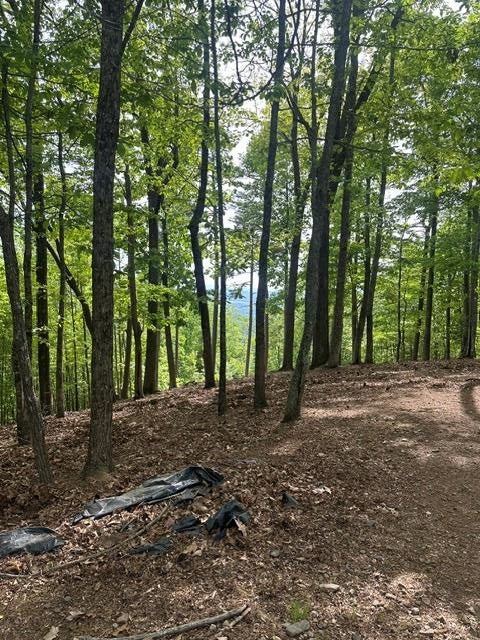 Vacant Land For Sale - LOT 4 Hampton Knob<br/> Murphy, NC 28906