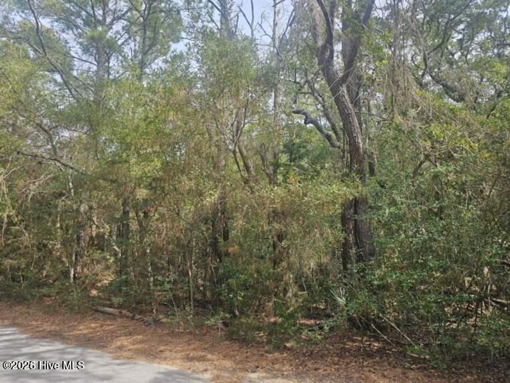 Photo of 45 Fort Holmes Trail, Bald Head Island, NC 28461 (MLS # 100564395)