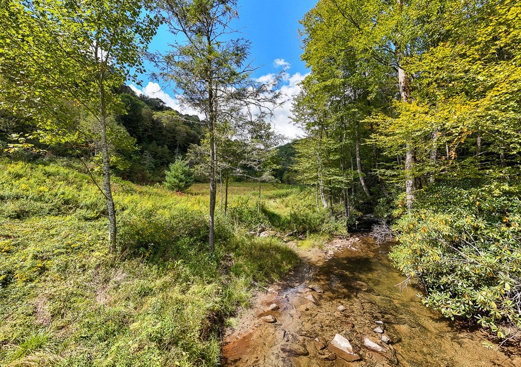 Photo of 9765 Little Snowbird Road, Robbinsville, NC 28771 (MLS # 100606290)