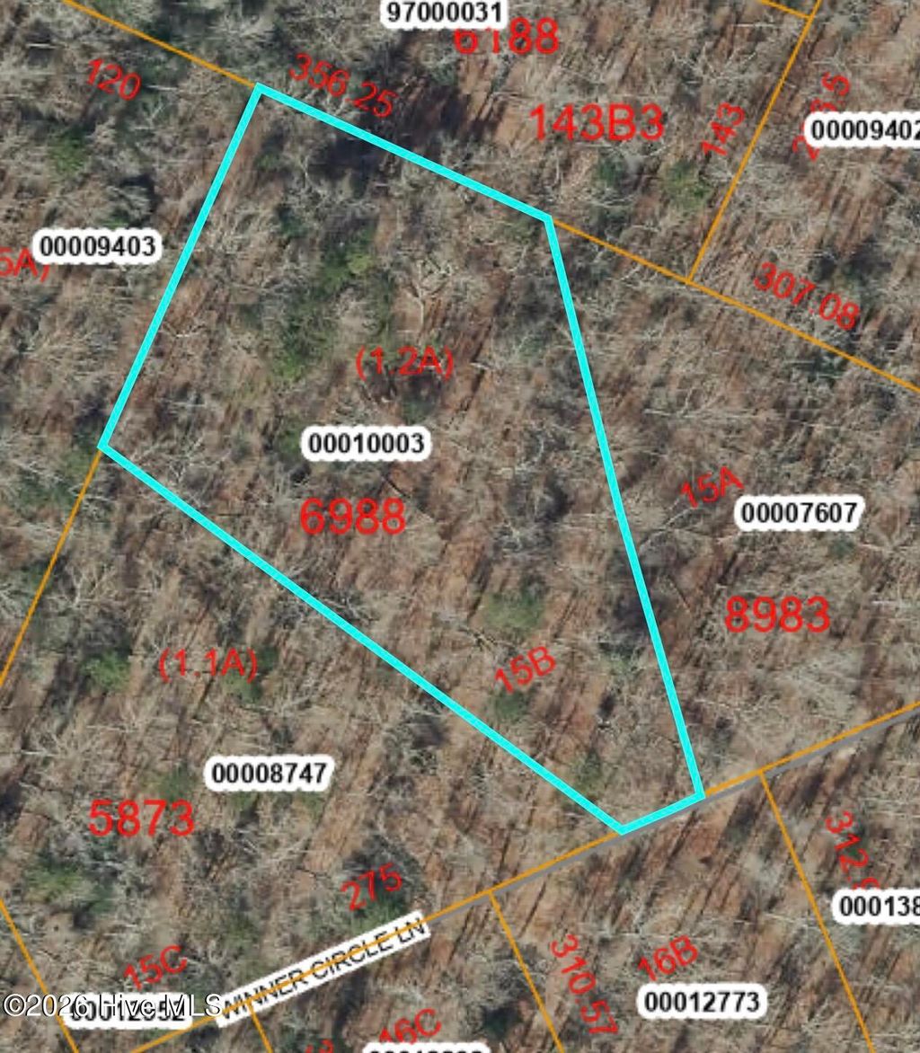 Photo of 15 Winners Circ Lane, Carthage, NC 28327 (MLS # 100557576)