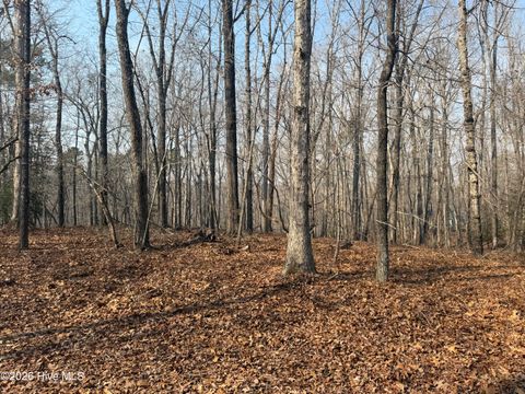 Vacant Land For Sale - 15B Winners Circ Lane<br/> Carthage, NC 28327
