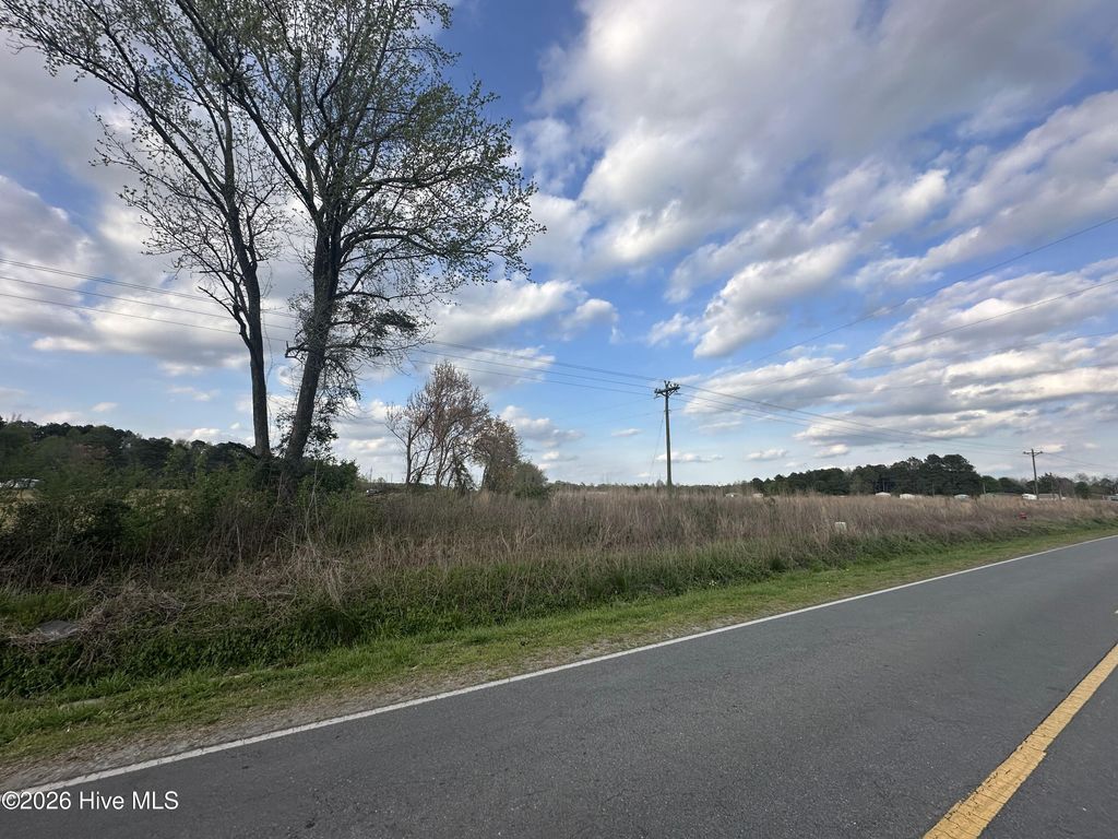 Photo of 207 Pasture Branch Rd Park, Rose Hill, NC 28458 (MLS # 100568229)