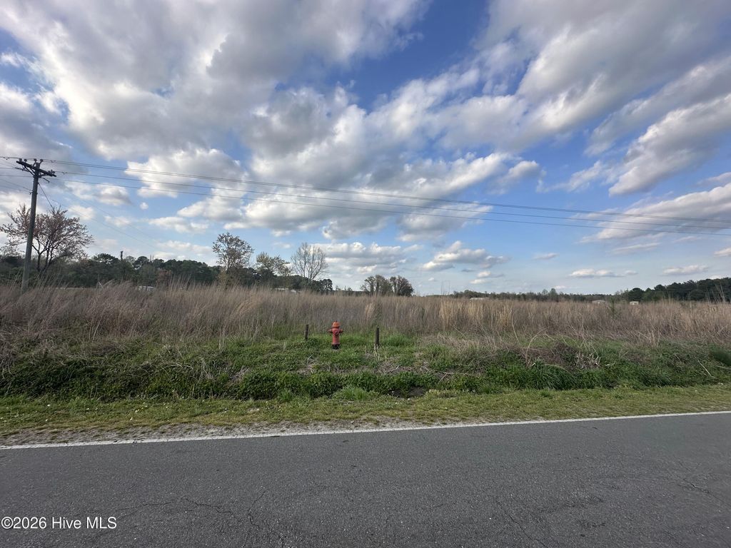 Photo of 207 Pasture Branch Rd Park, Rose Hill, NC 28458 (MLS # 100568229)