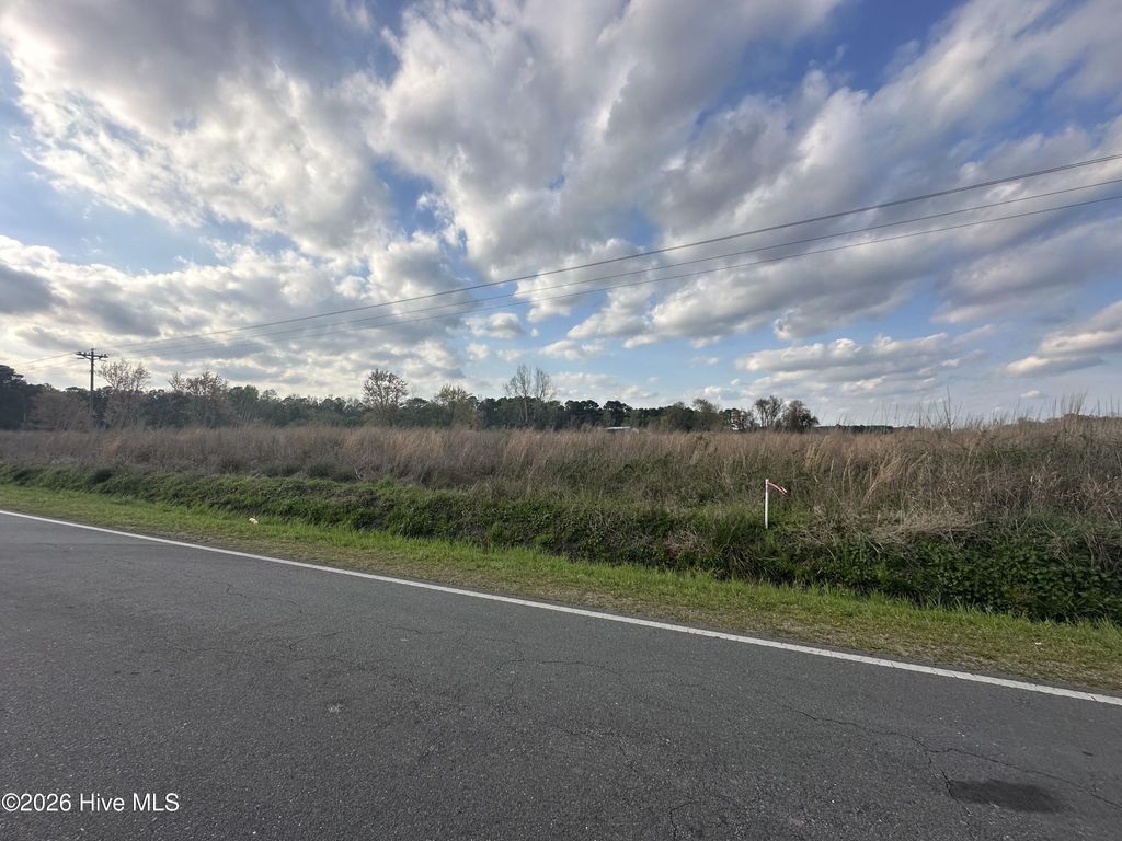 Photo of 207 Pasture Branch Rd Park, Rose Hill, NC 28458 (MLS # 100568229)