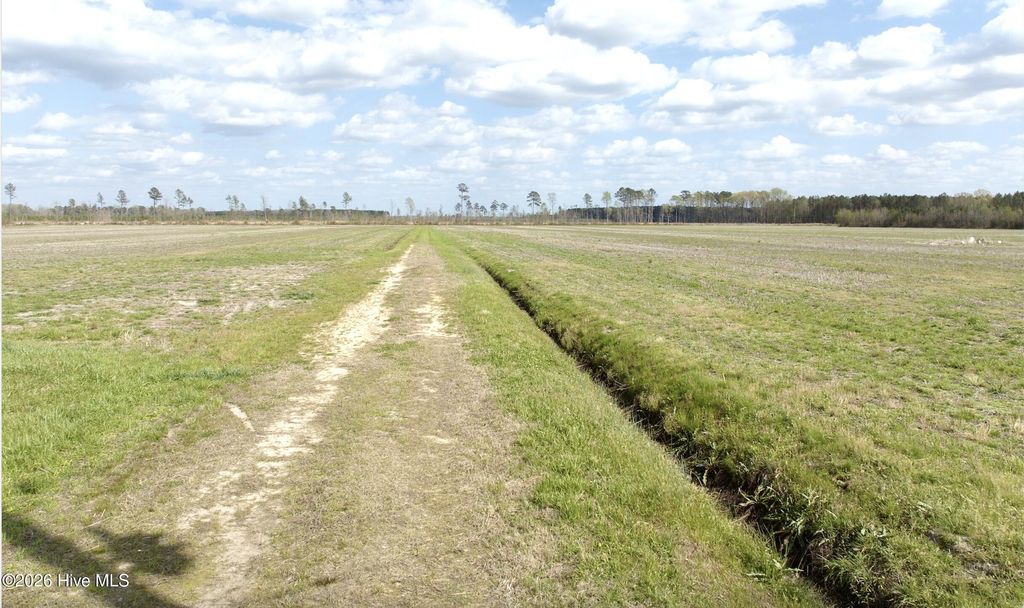 Photo of 0 Black Mingle Road, Gates, NC 27937 (MLS # 100564924)