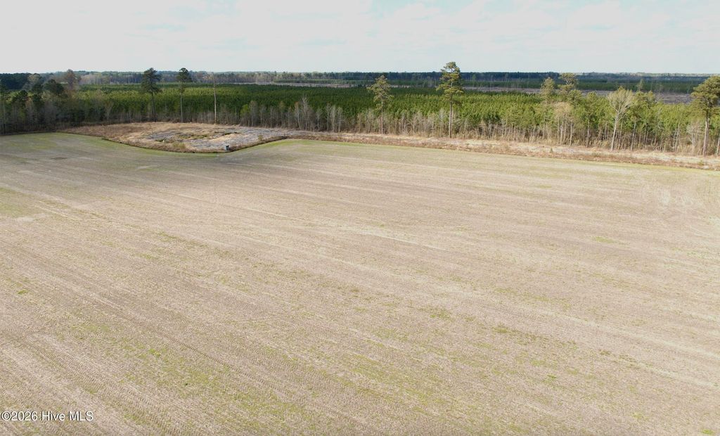 Photo of 0 Black Mingle Road, Gates, NC 27937 (MLS # 100564924)