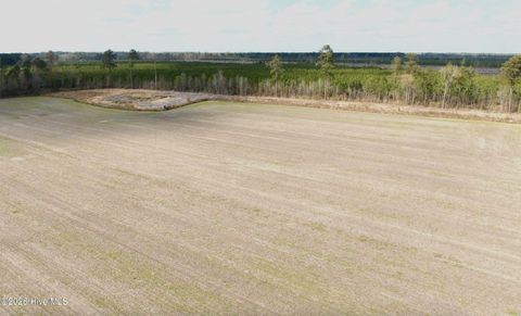 Vacant Land For Sale - Black Mingle Road<br/> Gates, NC 27937