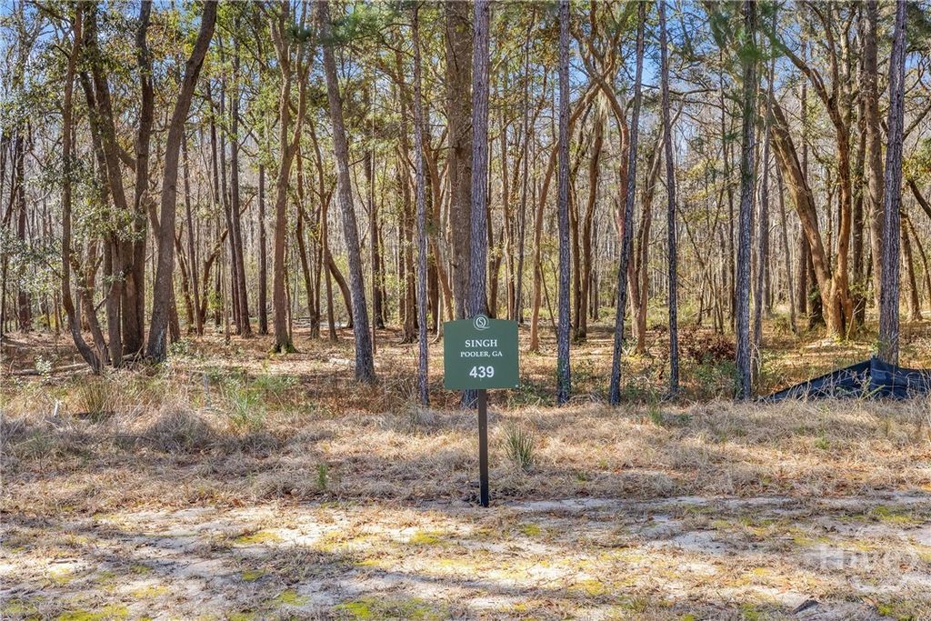 Photo of 153 Wood Haven Lane, Pooler, GA 31322 (MLS # SA349418)