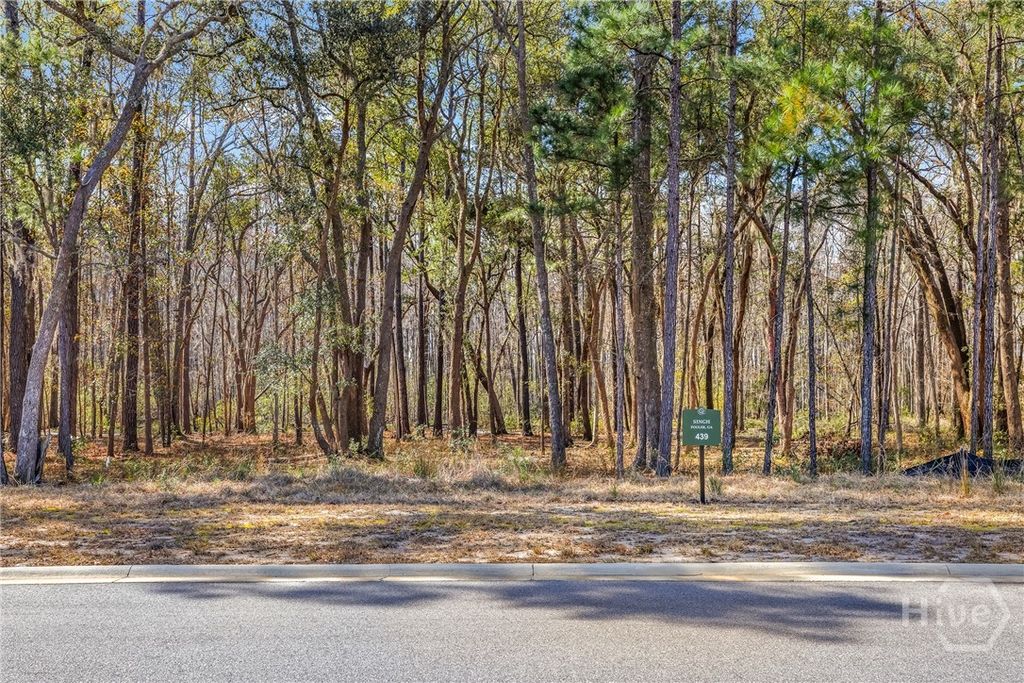 Photo of 153 Wood Haven Lane, Pooler, GA 31322 (MLS # SA349418)