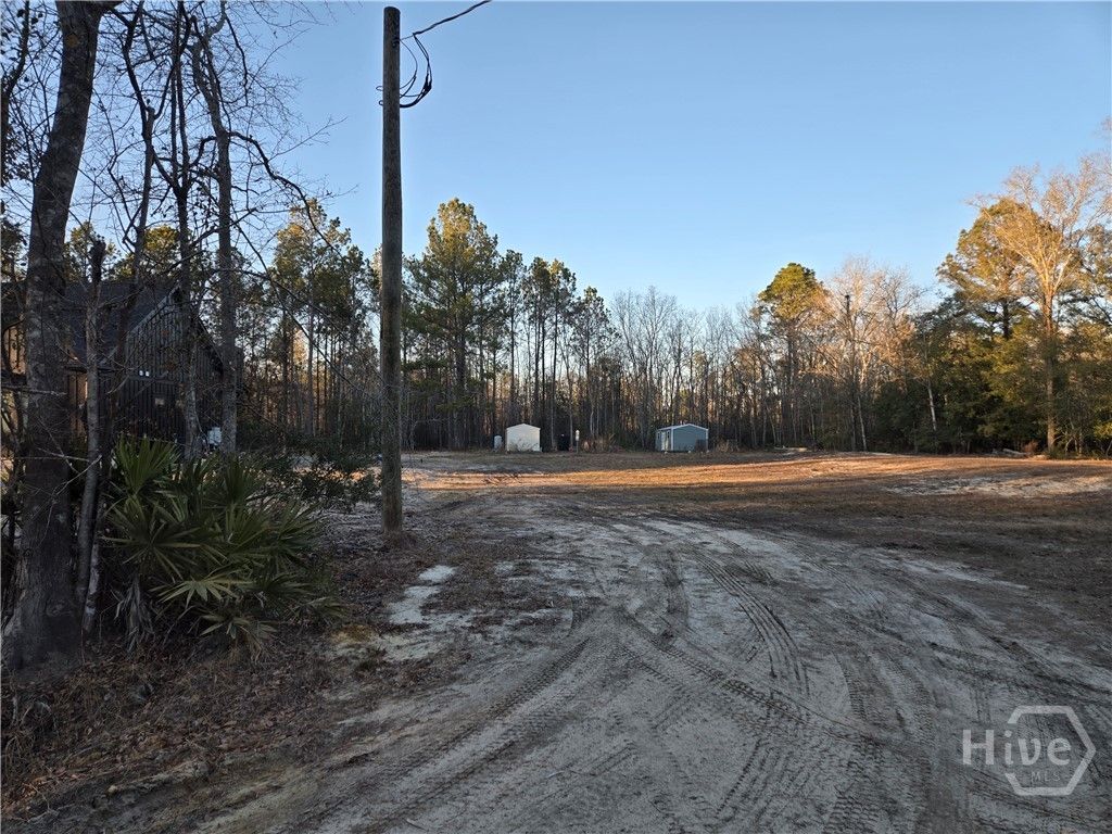 Photo of 1272 Mount Hope Road, Guyton, GA 31312 (MLS # SA348948)