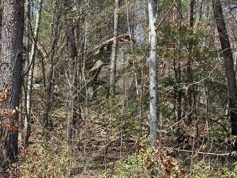 Vacant Land For Sale - Morrow Road<br/> Murphy, NC 28906