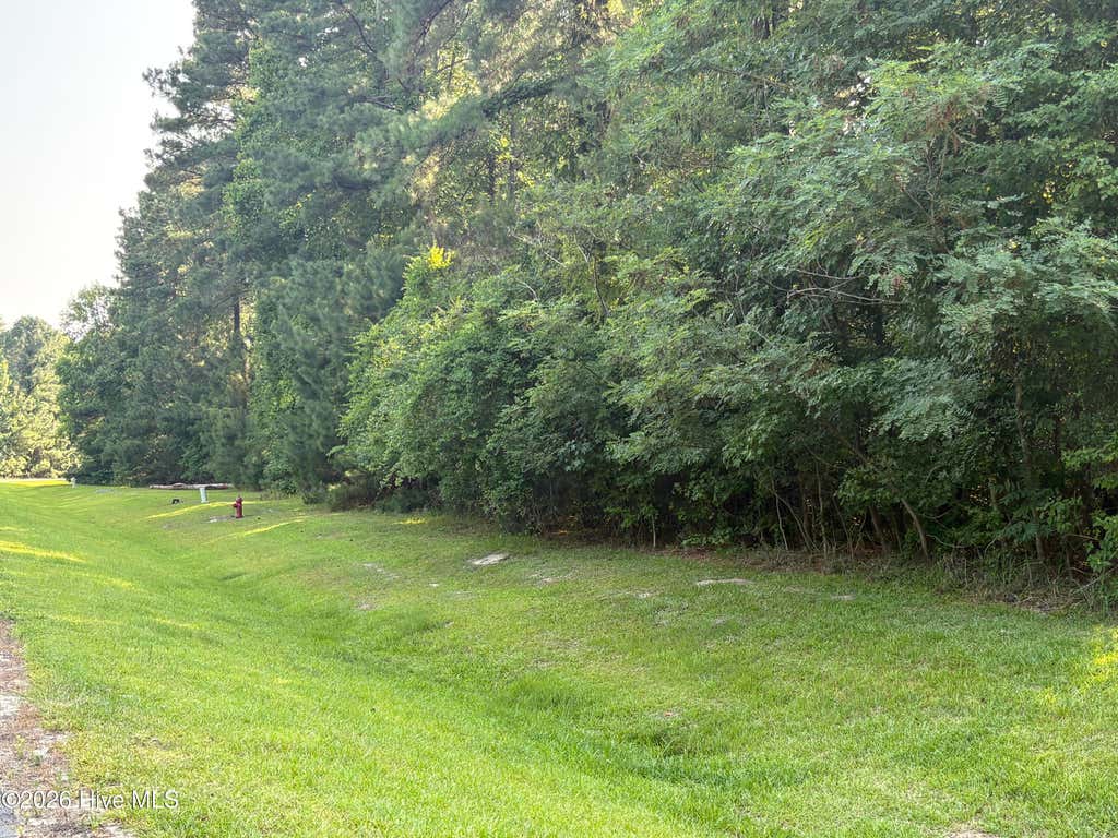 Photo of 519 Riversound Drive, Edenton, NC 27932 (MLS # 100586235)