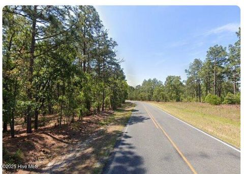 Vacant Land For Sale - LOT 9 Flowers Road<br/> Moore County, Jackson Springs, NC 27281