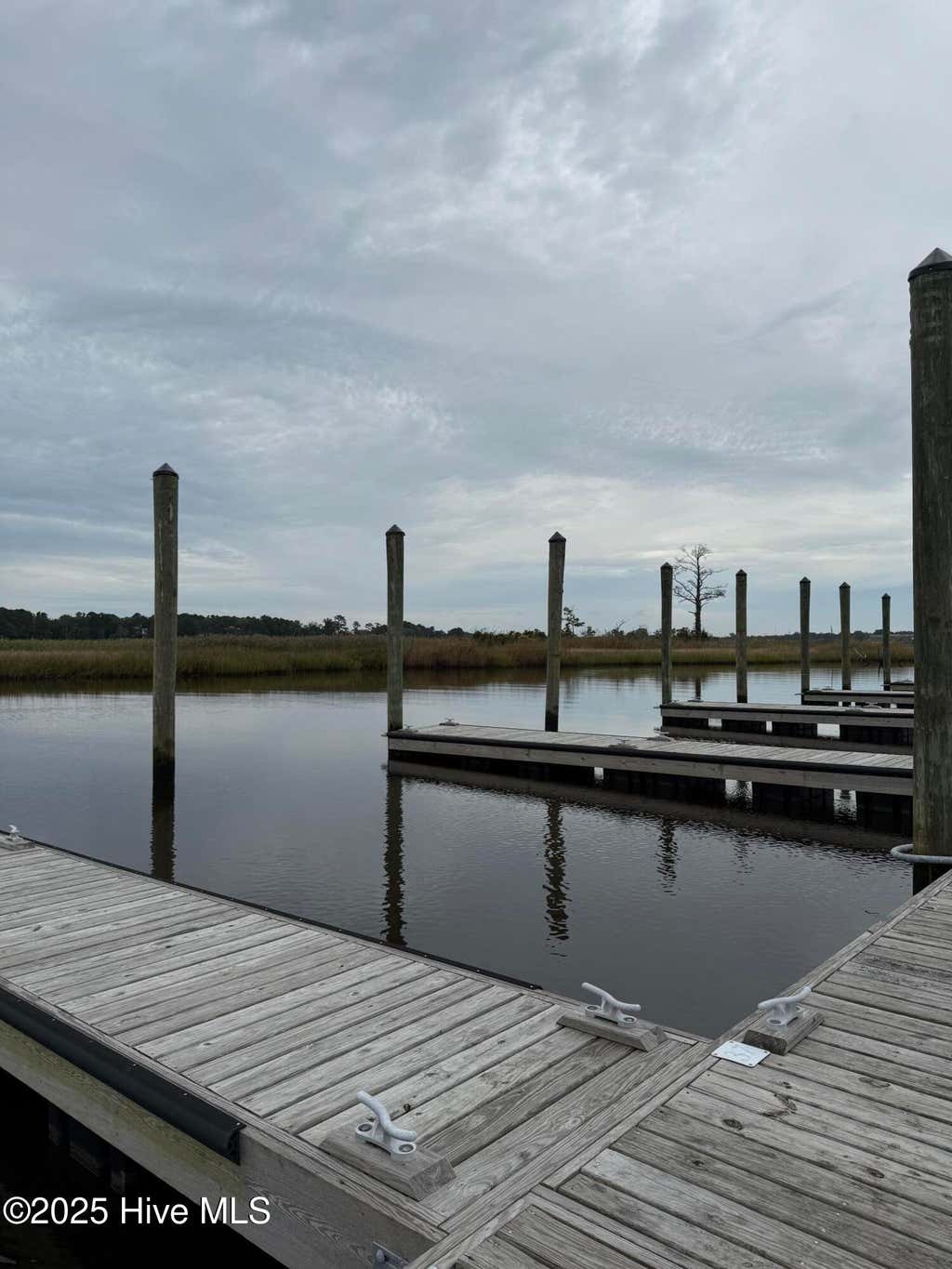 Photo of 1511 Riverview Terrace, Wilmington, NC 28401 (MLS # 100593387)